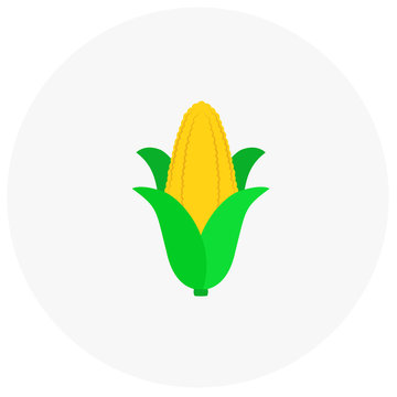 Corn icon in trendy flat style isolated on color background. Vegetables symbol for your design, logo, UI. Vector illustration, EPS10.