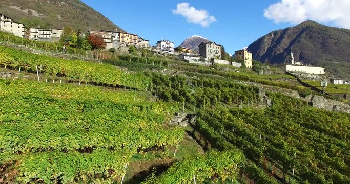Sorvolo vigneti e campi coltivati in Valtellina