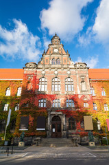 old building of National Museum with autumn ivy in Wroclaw, Poland 
