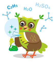 Funny Owl Experimenting With Chemicals. Chemical Formula On A White Background. Cartoon Vector Illustration. Owl Memes, Jokes. Funny Owl Expressions. Owl Toy.
