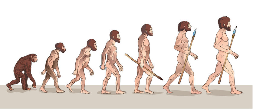 Human Evolution. Man Evolution. Historical Illustrations. Human Evolution Vector Illustration. Progress Growth Development. Monkey, Neanderthal, Homo Sapiens. Primate With Weapon.