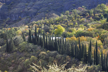 Fototapeta premium Botanical garden at sunset in Tbilisi city, Georgia, Europe