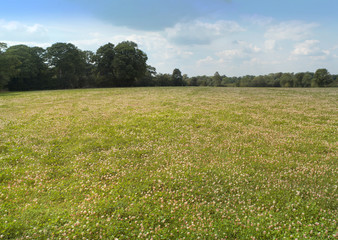 field agriculture farm crops england uk