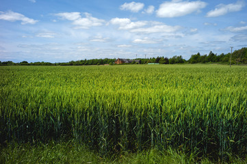 field agriculture farm crops england uk
