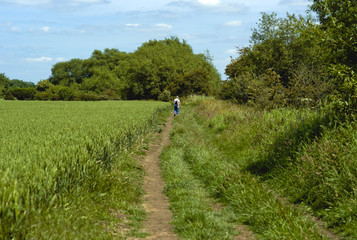 field agriculture farm crops england uk