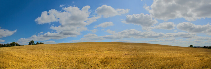 field agriculture farm crops england uk