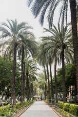 Valencia (Spain), Avenue at evening