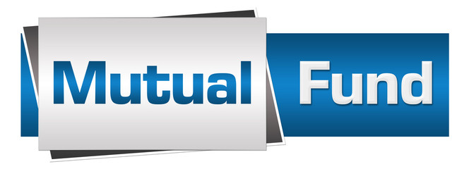 Mutual Fund Blue Grey Horizontal 