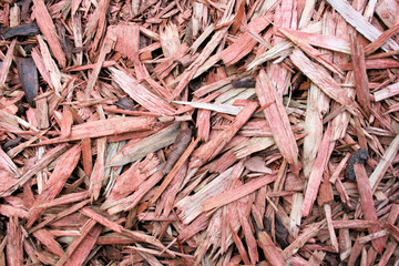 wood