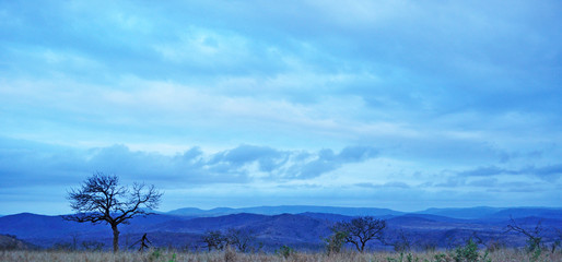 Sud Africa, 28/09/2009: paesaggio africano all'alba nella Hluhluwe Imfolozi Game Reserve, la più antica riserva naturale istituita in Africa nel 1895 nel KwaZulu-Natal, la terra degli Zulu
