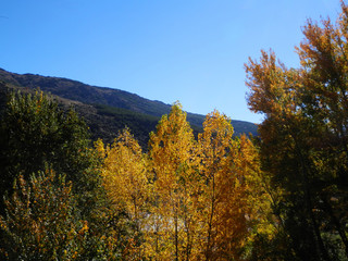 Fototapeta premium Autumn colors in Alpujara Region, Spain