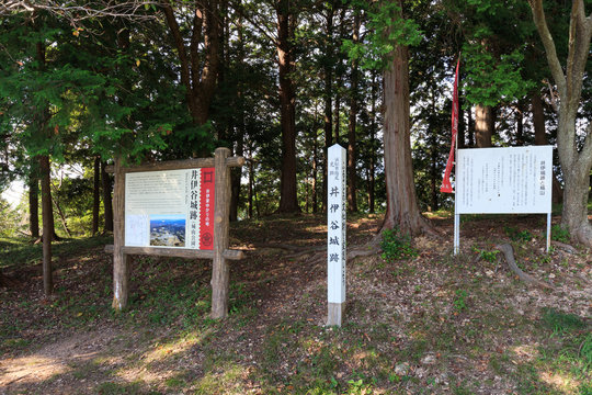 井伊氏 Images Browse 180 Stock Photos, Vectors, and Video Adobe Stock