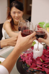Friends raising wine glass, toasting across table