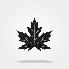 Maple leaf cute icon in trendy flat style isolated on color background. Thanksgiving symbol for your design, logo, UI. Vector illustration, EPS10.