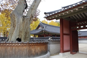 한국전통한옥