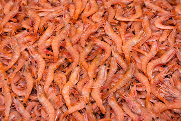 fresh prawn