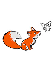 Fox small sweet butterfly