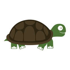 turtle cartoon animal icon image vector illustration design 