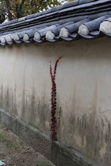 Fototapeta premium 한국전통한옥