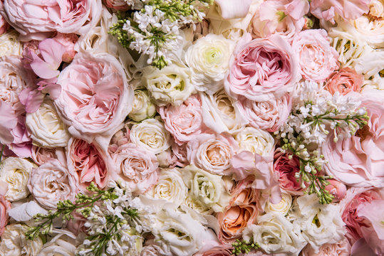 Abstract nature flowers texture background with white and rose roses