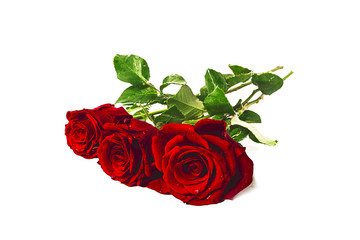 Obraz premium tre rose rosse bouquet