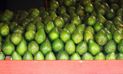 Avocados