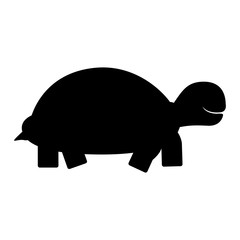 turtle cartoon animal icon image vector illustration design 