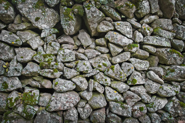 Old stone wall cover with moss