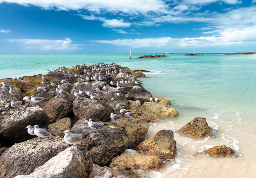 View From The Fort Zachary Taylor Historic State Park In Key Wes