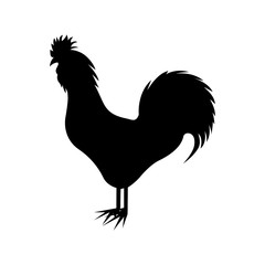 rooster animal cartoon icon image vector illustration design 