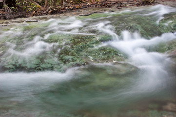 Streams from the forest in Asia