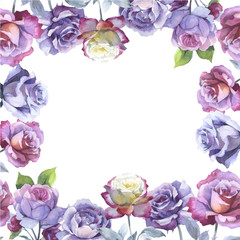 Wildflower rose flower frame vector in a watercolor style isolated. Full name of the plant: rose, hulthemia, rosa. Aquarelle wild flower for background, texture, wrapper pattern, frame or border.