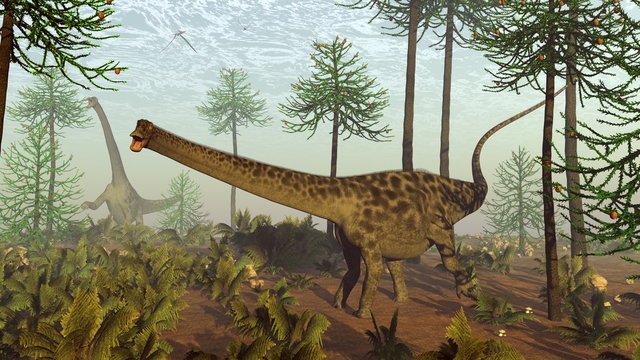 Diplodocus dinosaurs among araucaria trees - 3D render