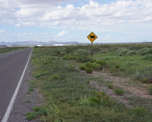 Countryside road warning sign of cow crossing.