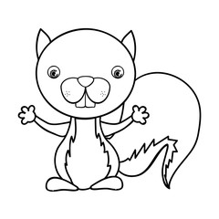Obraz na płótnie Canvas squirrel animal cartoon icon image vector illustration design 
