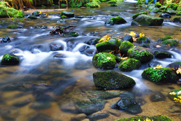 Autumn on River Křinice in Czech Switzerland