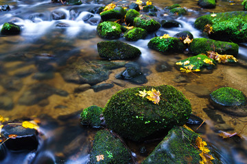 Autumn on River Křinice in Czech Switzerland