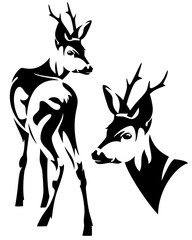 roe deer black and white vector design