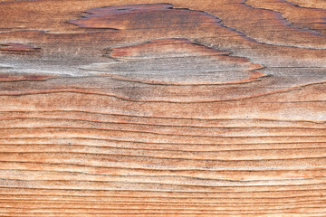 Wooden plank texture