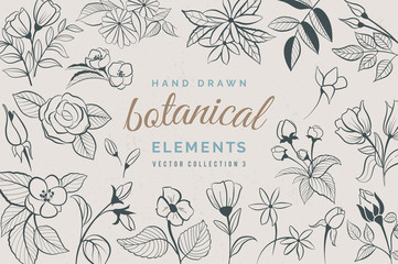 Botanical Hand Drawn Elements