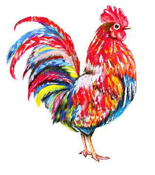 Oil painting - cock with red and blue feathers, isolated on white background