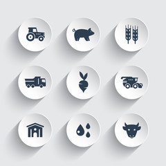 Agriculture, farming icons set, cattle, pigs, hangar, combine harvester, agrimotor, vegetables