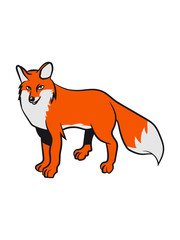 fox