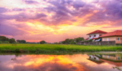 blurred background rice field with sunset sky