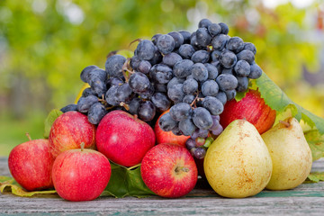fruits outdoor