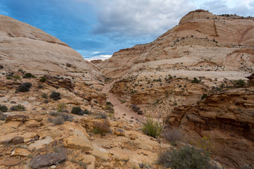 Fototapeta premium Capitol Reef National Park