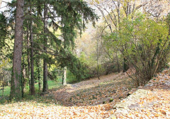 Осенний лес