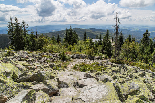 Fototapeta Lusen Gipfel  Nationalpark Bayerischer Wald, Sommer 