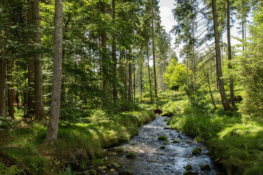 Pommerbach; Bayerischer Wald, Sommer