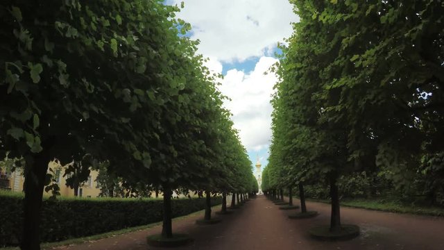 Alley in the Park in Peterhof